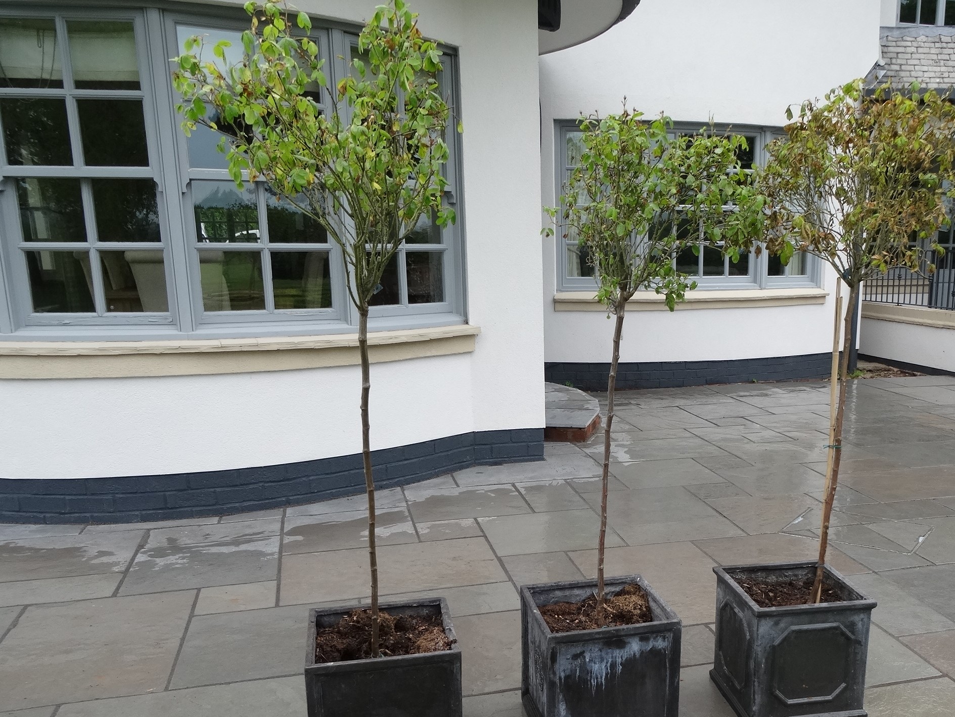 Grey Limestone – (Tumbled & Brushed) – 4 Size / 18m2 Project Pack - Image 7