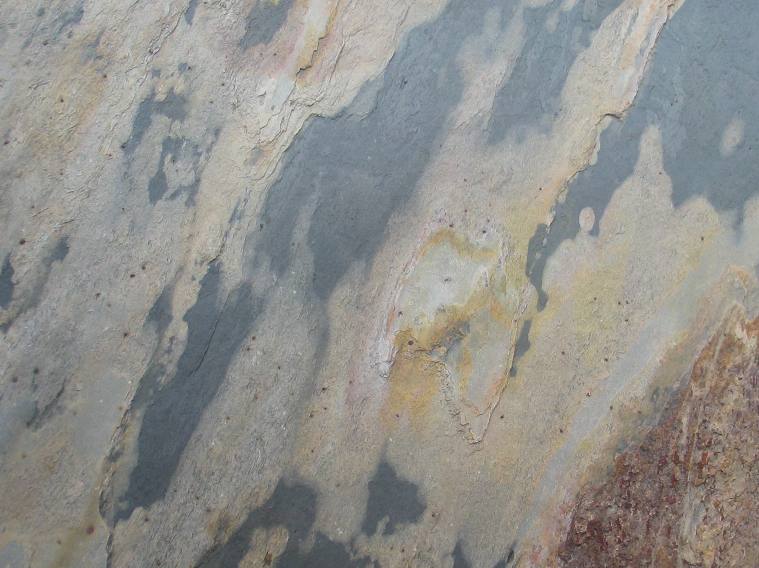 Autumn Rustic Real Stone Veneer 1220mm x 610mm