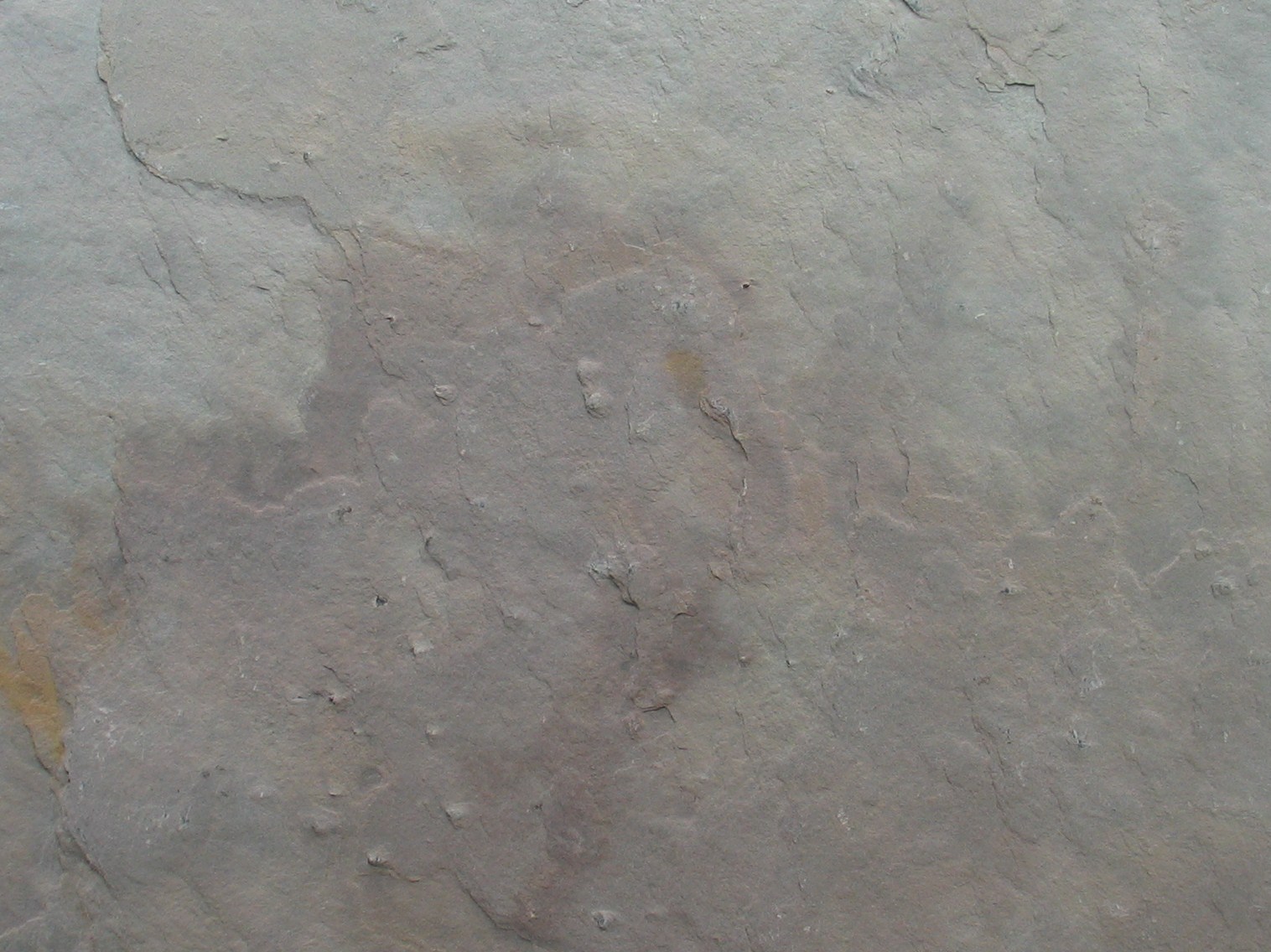 Autumn White Real Stone Veneer 1220mm x 610mm